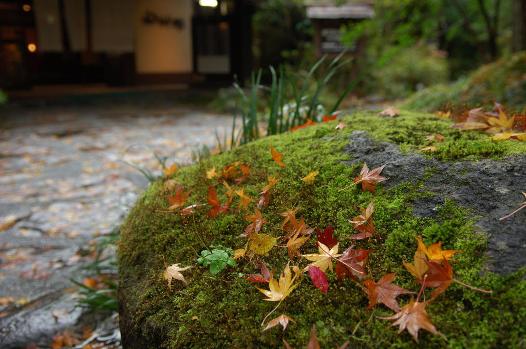 Hotel Yamamizuki Minamioguni Exteriér fotografie